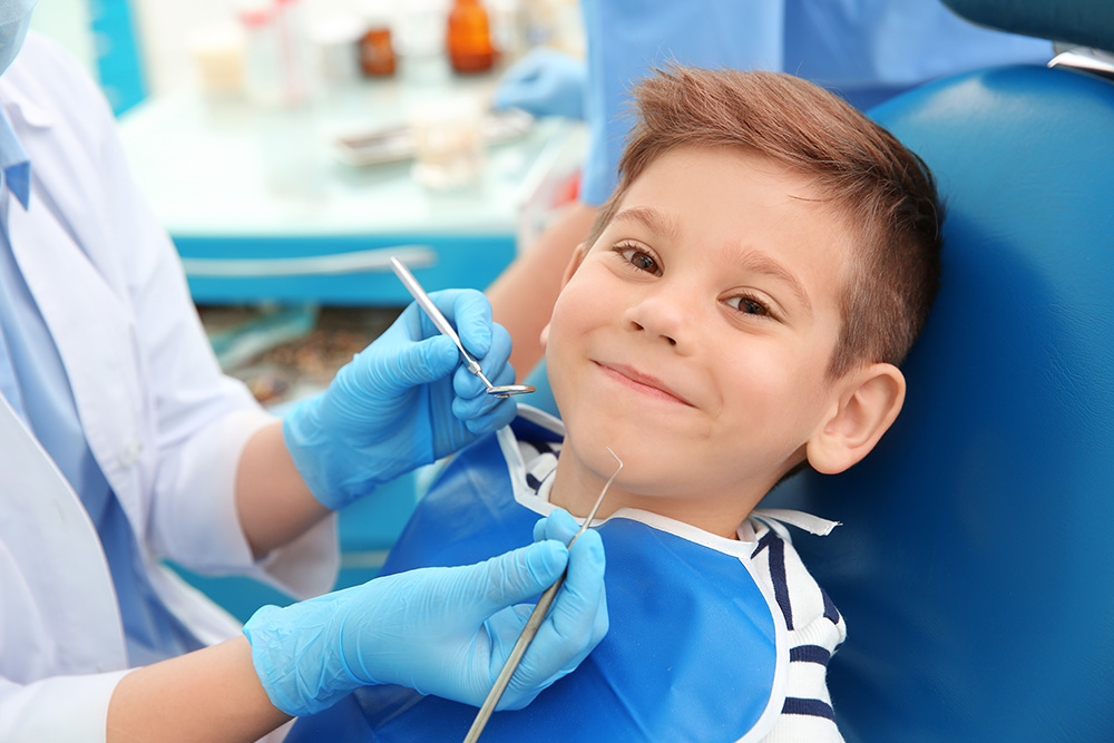 Dentist In Aspendale Gardens