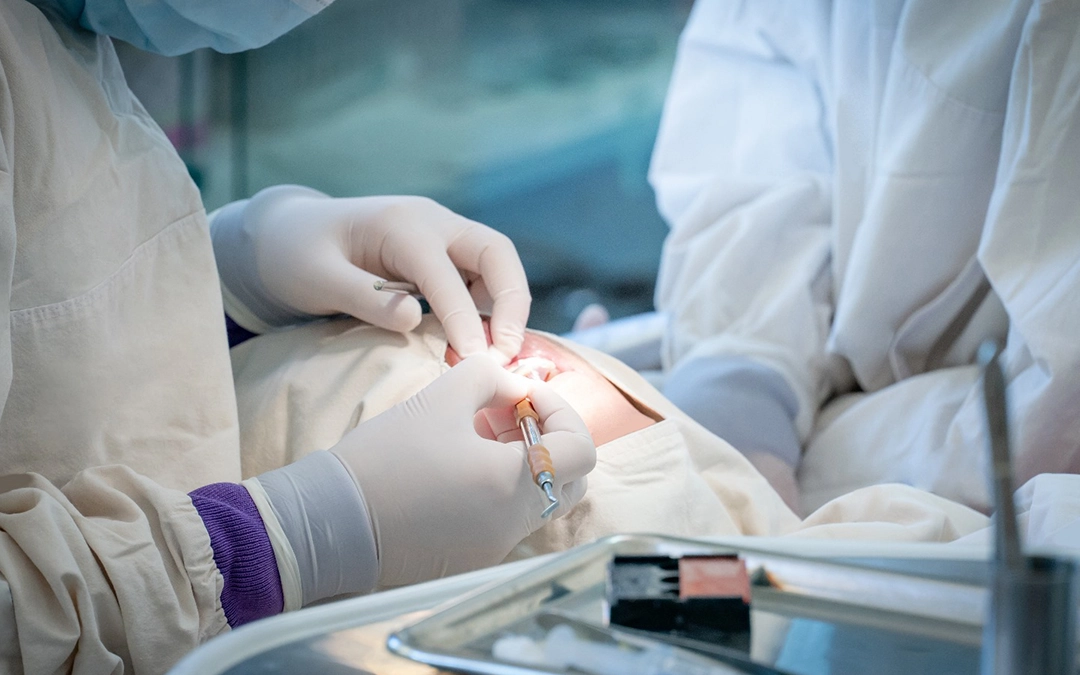 Healthy-smile-dental-blog-Seven dental emergencies where every minute counts! - dental checkup dental emergencies